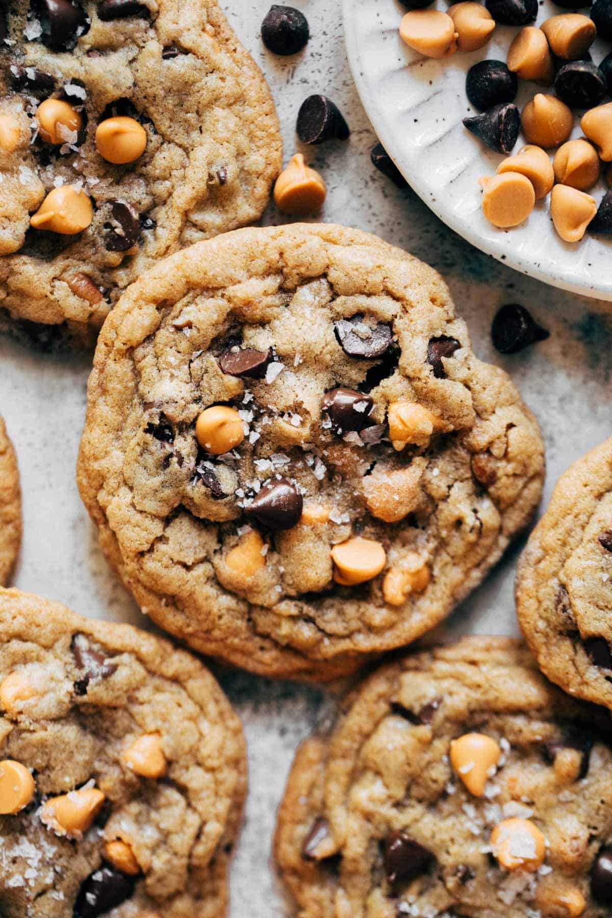 Butterscotch Chocolate Chip Cookies | Cookie Recipes | Butternut Bakery