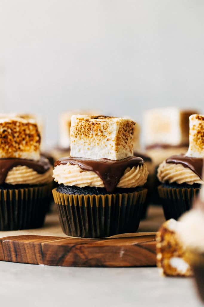 smores cupcakes topped with a large toasted marshmallow