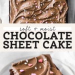 chocolate sheet cake pinterest graphic