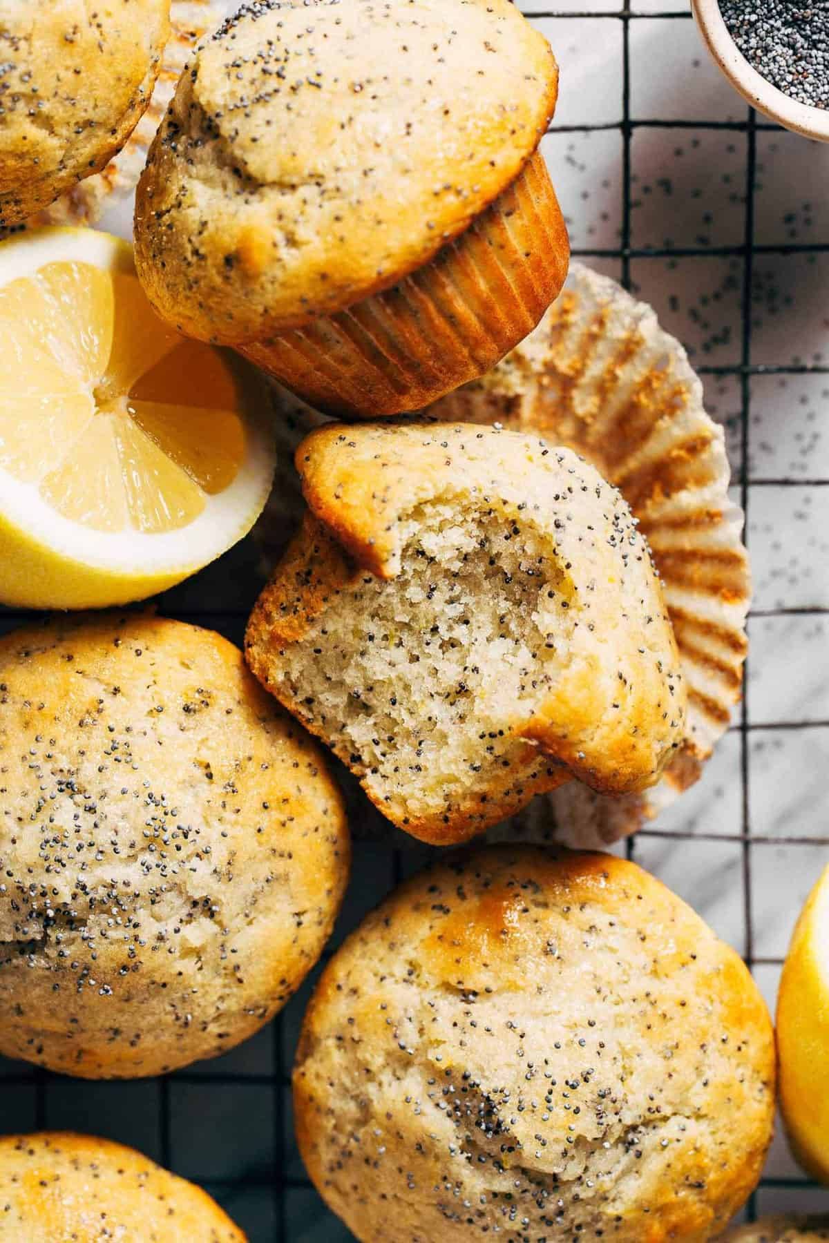 Best Lemon Poppy Seed Muffins - Butternut Bakery
