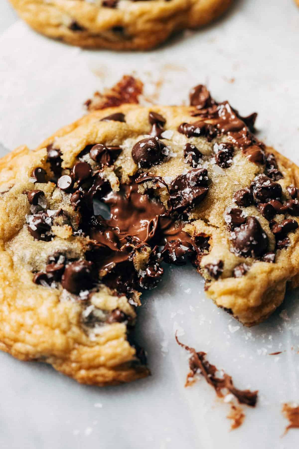 Realistic CHOCOLATE CHIP COOKIES Wax Melts