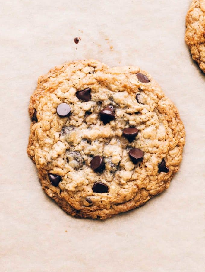 close up on a freshly baked gluten free oatmeal chocolate chip cookie
