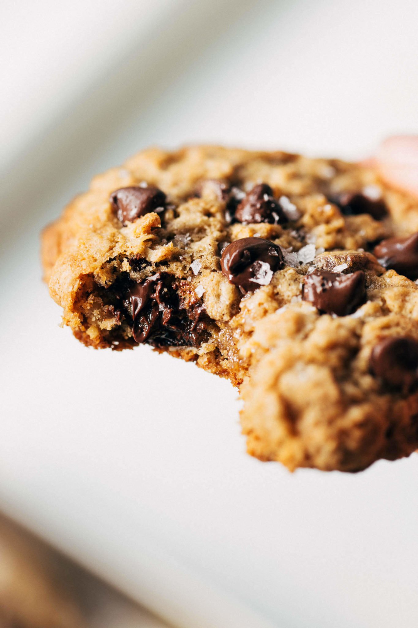 BEST Gluten Free Oatmeal Chocolate Chip Cookies Butternut Bakery