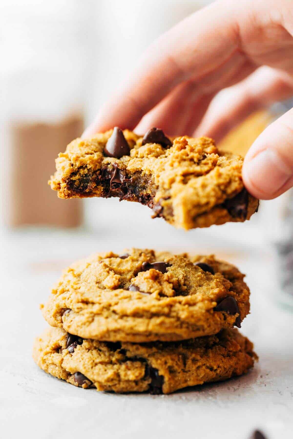 Chocolate Chip Vegan Pumpkin Cookie