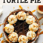 turtle pie pinterest graphic