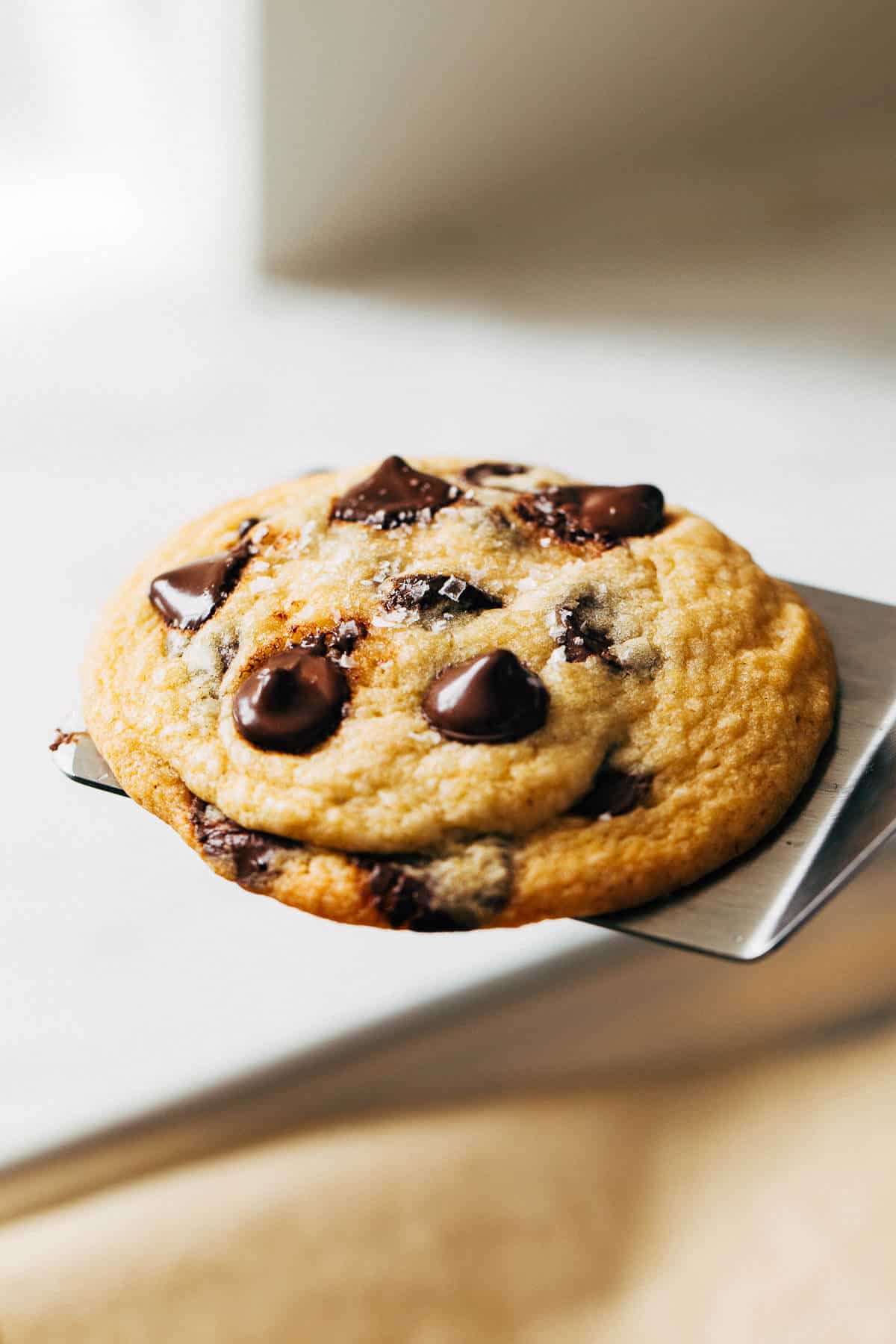 soft chocolate chip cookie on a spatula