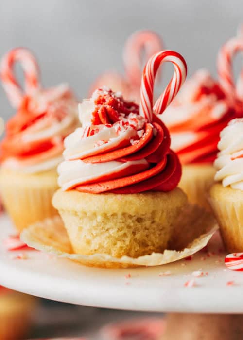 close up on a peppermint swirl cupcake