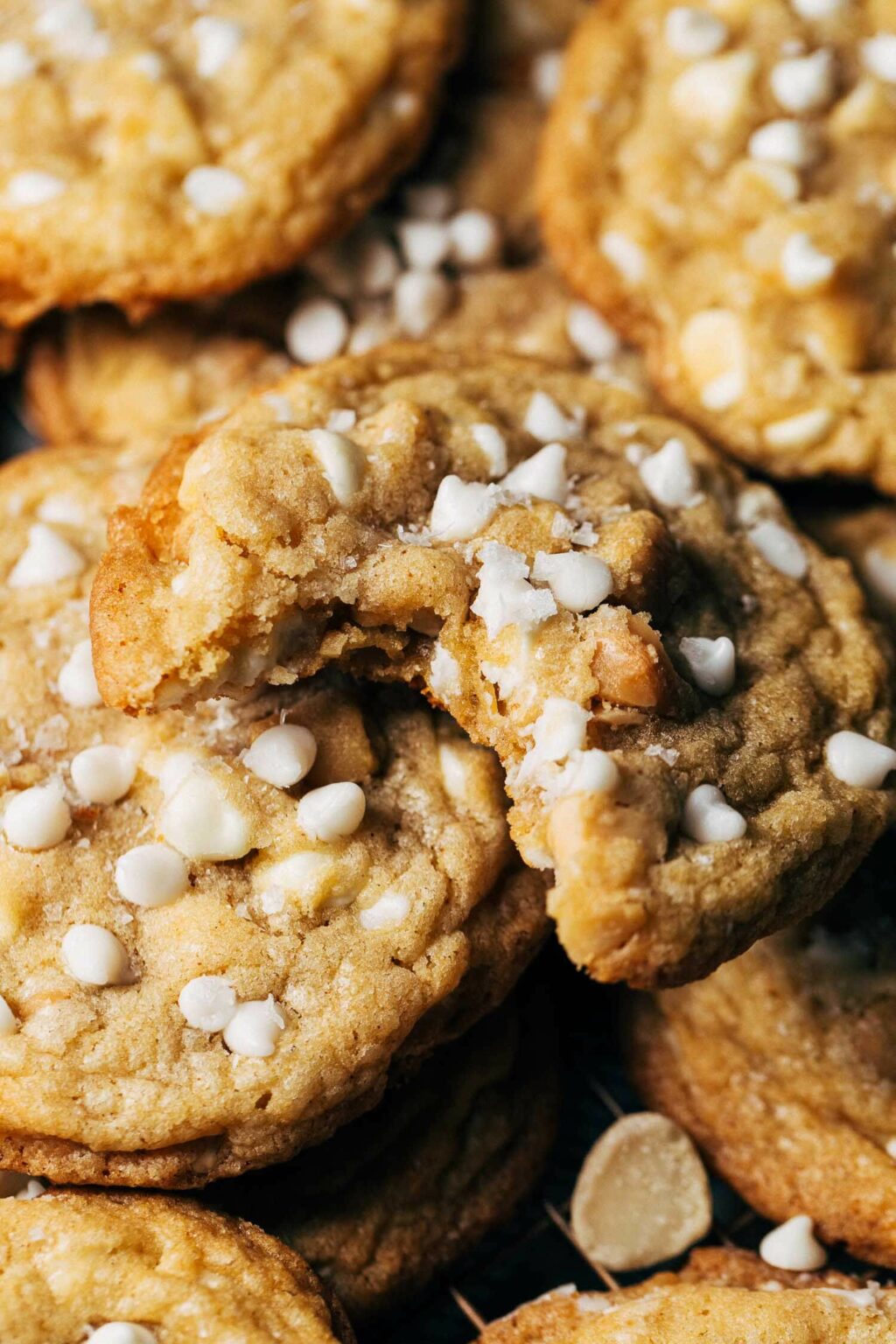 White Chocolate Macadamia Nut Cookies | Butternut Bakery