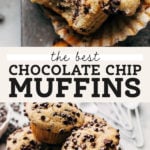 chocolate chip muffins pinterest graphic