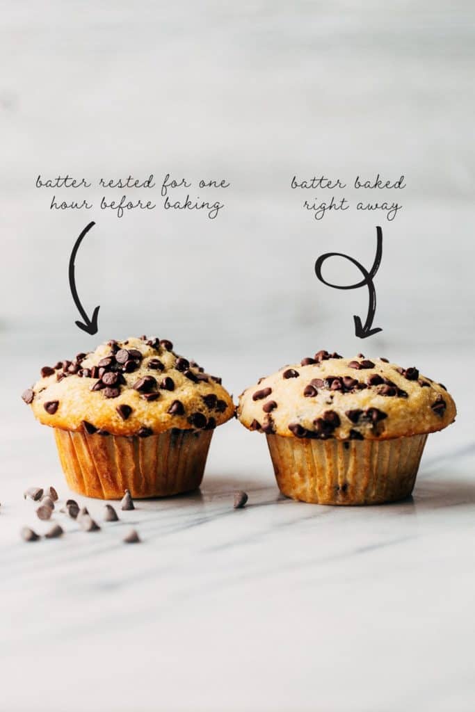 comparing two muffin tops side by side