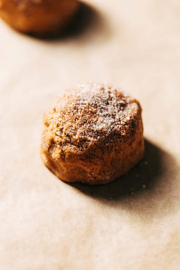 a spice cookie dough ball coated in cinnamon sugar