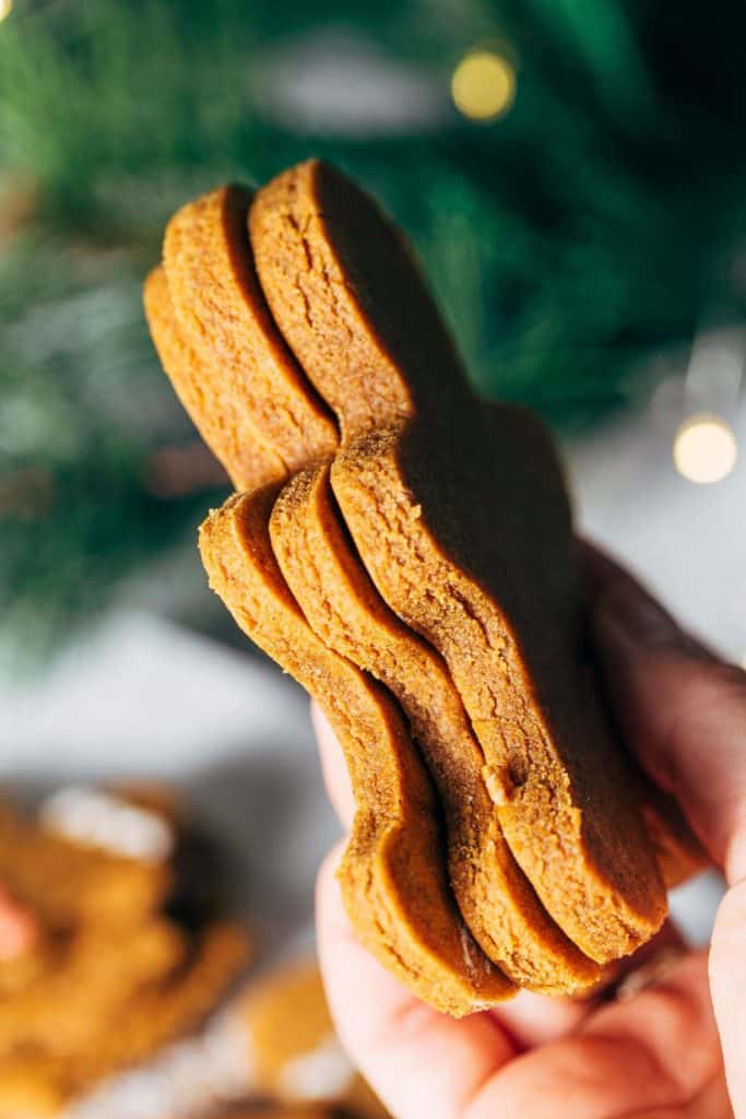 holding a stack of thick gingerbread cookies
