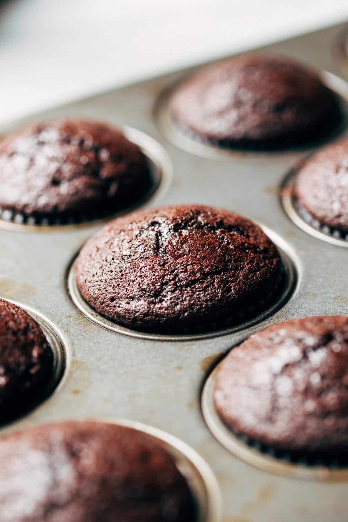 freshly baked chocolate cupcakes in a cupcake tin