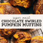 chocolate pumpkin muffins pinterest