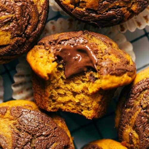 close up on a chocolate pumpkin muffin bite shot