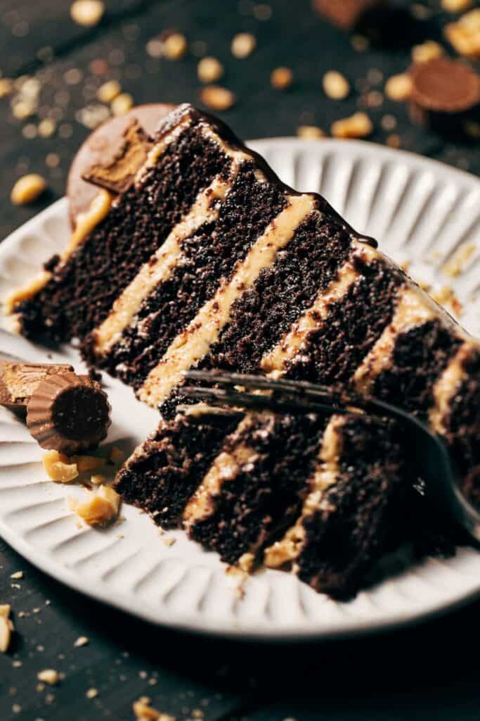 close up on a slice of peanut butter chocolate cake