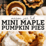 mini pumpkin pies pinterest