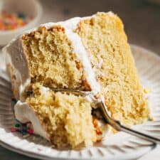 Moist Gluten Free Vanilla Cake-image