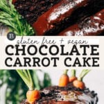 chocolate carrot cake pinterest