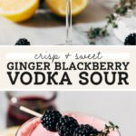 blackberry vodka sour pinterest