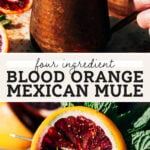 blood orange mexican mule pinterest