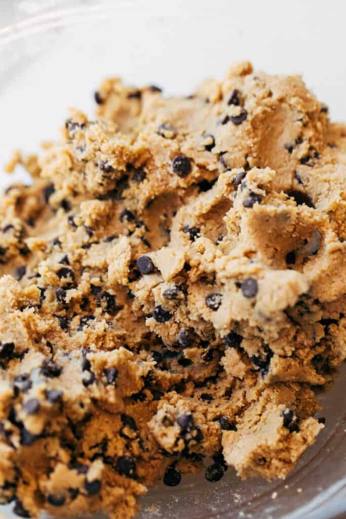 a bowl of graham cracker chocolate chip cookie dough