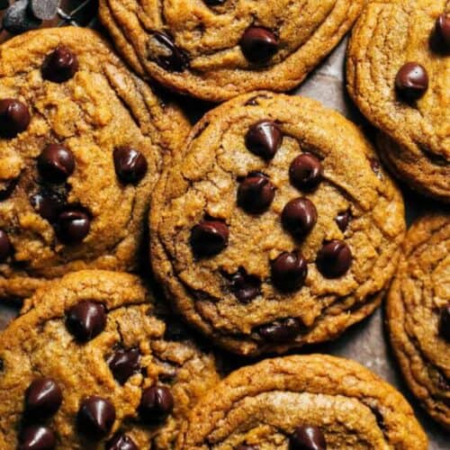 pumpkin chocolate chip cookies with chocolate chips on top