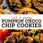 pumpkin chocolate chip cookies pinterest