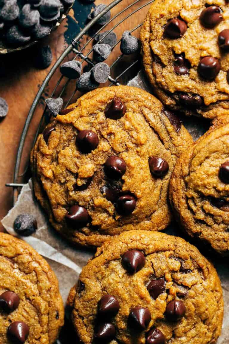 close up on a rich pumpkin chocolate chip cookie