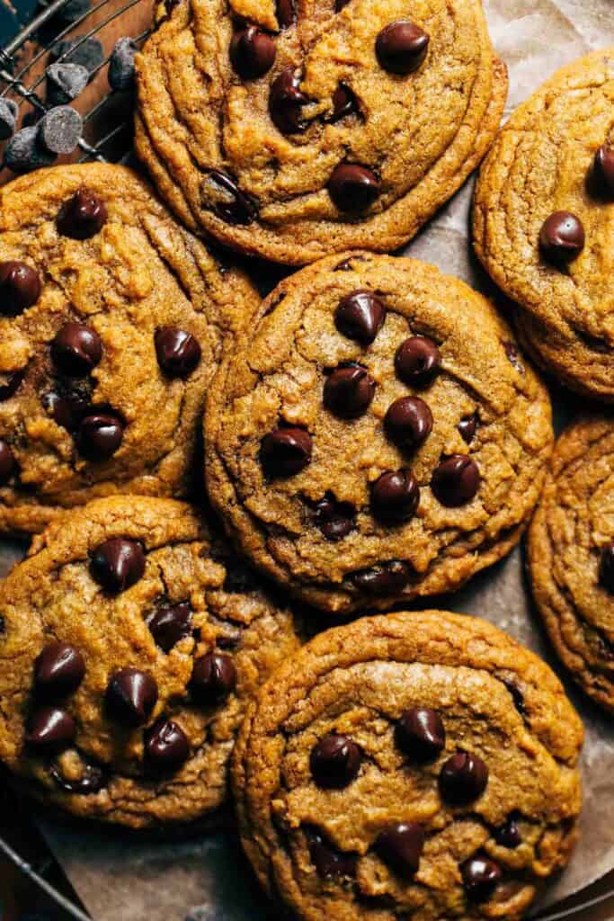 pumpkin chocolate chip cookies with chocolate chips on top