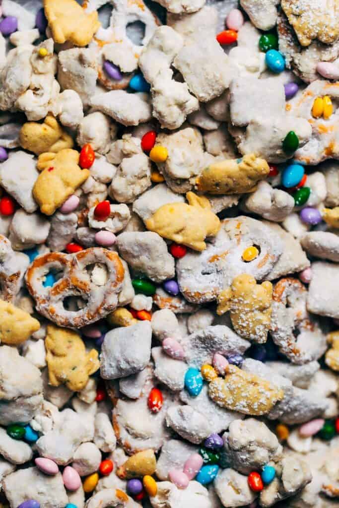 close up on an easter puppy chow mix