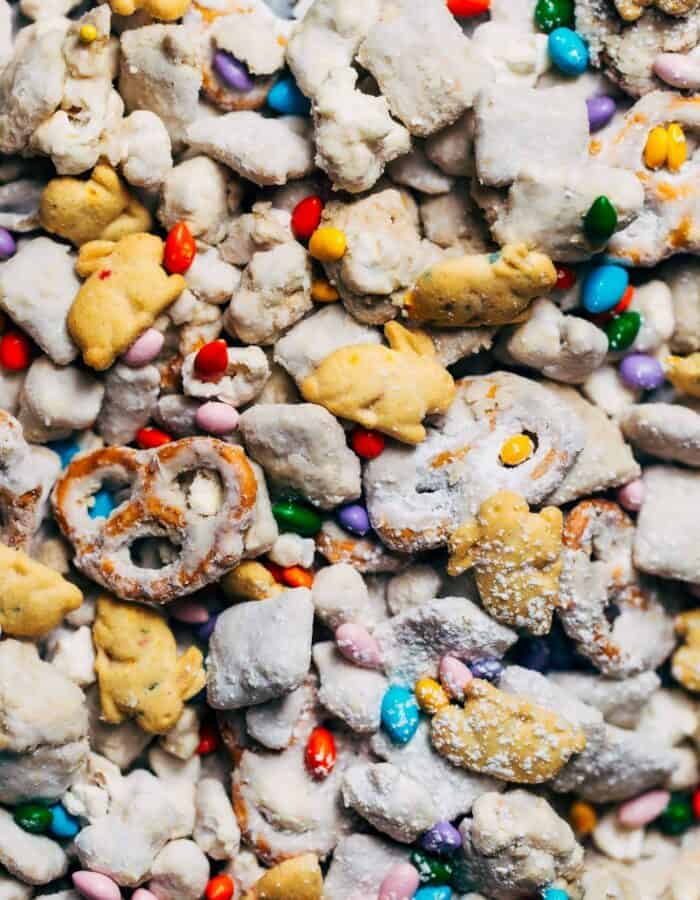 close up on an easter puppy chow mix