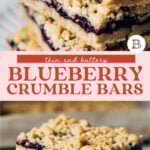 wild blueberry crumble bars pinterest