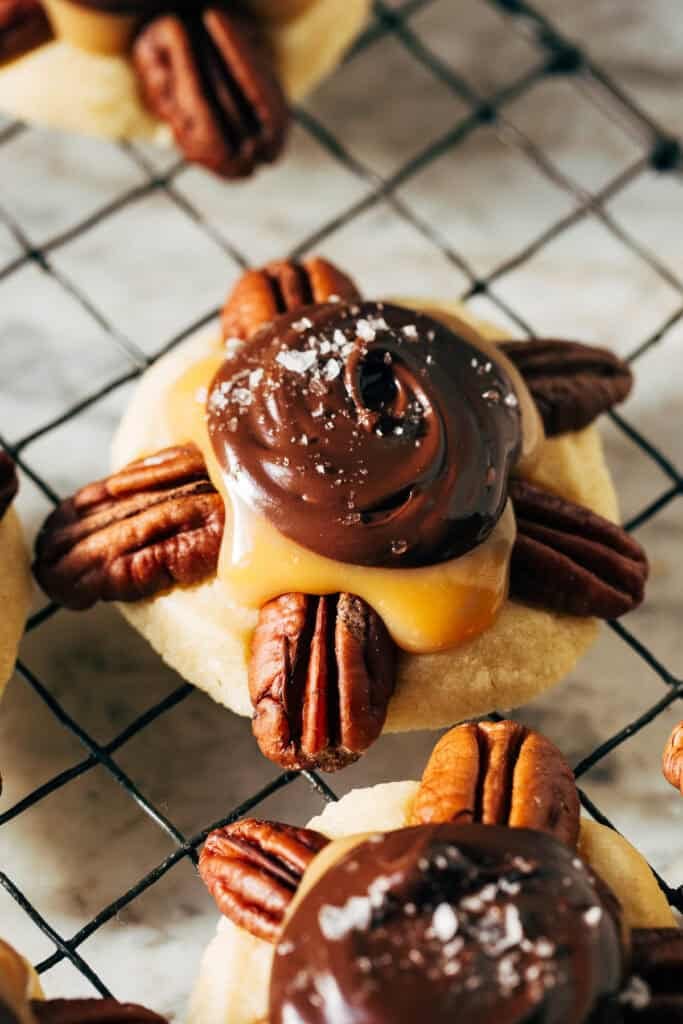 closeup on a turtle cookie