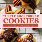 turtle cookies pinterest