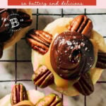 turtle cookies pinterest