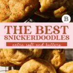 the best snickerdoodles pinterest