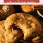 the best snickerdoodles pinterest