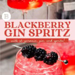 blackberry gin spritz pinterest