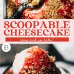 scoopable cheesecake pinterest