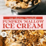 toasted marshmallow pumpkin ice cream pinterest
