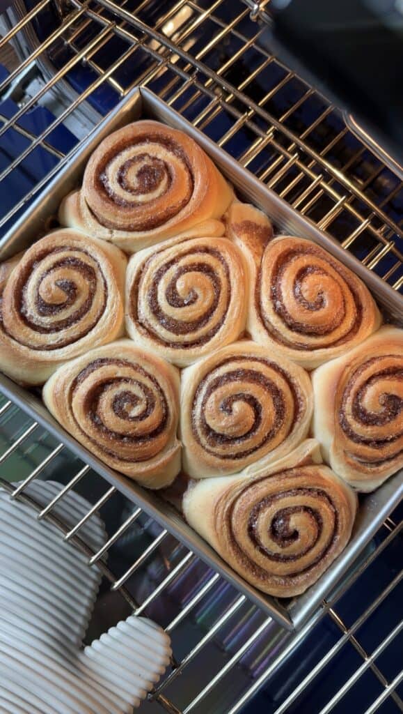 process shot of freshly baked cinnamon rolls